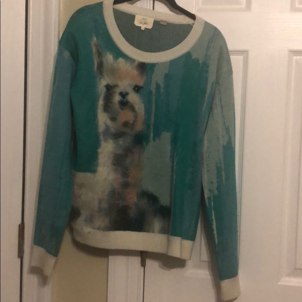 Llama sweater